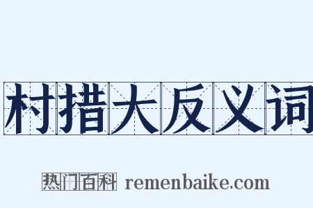 村措大反义词是什么意思的图片